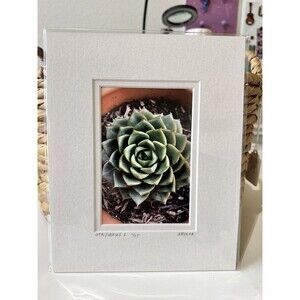 Original Photography 5X7 Picture Double Matted For 8X10 Frame